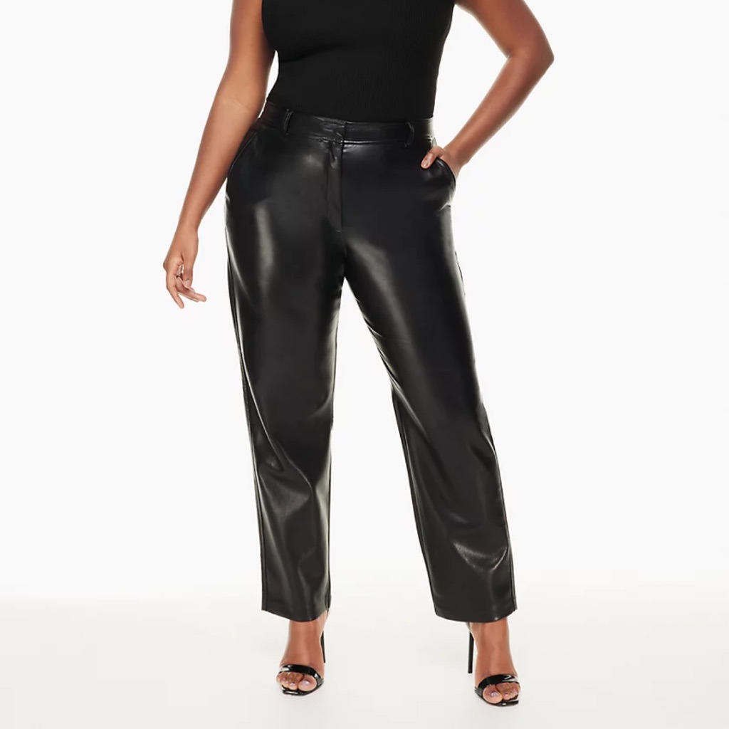 Aritzia Babaton Command Pant